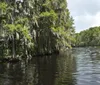 A group of people is enjoying a ride on an airboat through a waterway surrounded by vegetation