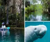 Two people are kayaking in clear blue waters amidst a lush green setting