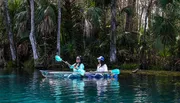 Two people are kayaking in clear blue waters amidst a lush green setting.