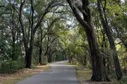 A paved path winds through a serene grove of trees with dappled sunlight filtering through the leaves.