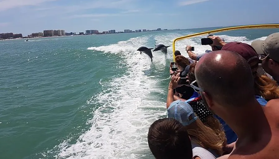 Passengers on a boat are watching and photographing dolphins jumping out of the water near the coast.