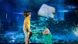 Popular Aquariums & Zoos