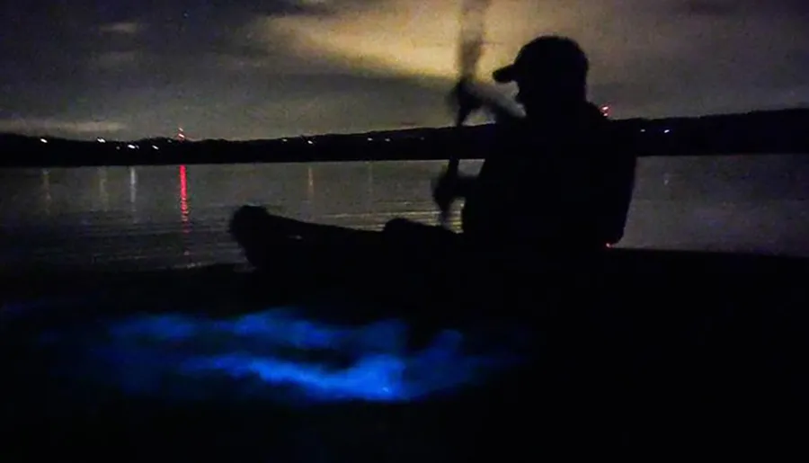 A person is kayaking at night on water illuminated by bioluminescence.