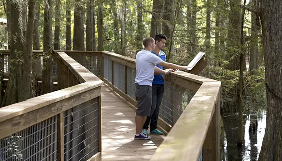 Two individuals are standing on a wooden walkway in a forested wetland area, reading an informational sign.