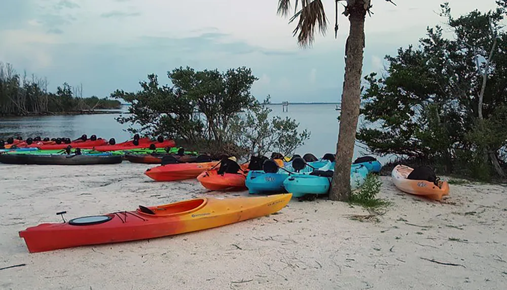 A collection of colorful kayaks is neatly arranged on a sandy shore with calm waters in the background during a cloudy twilight