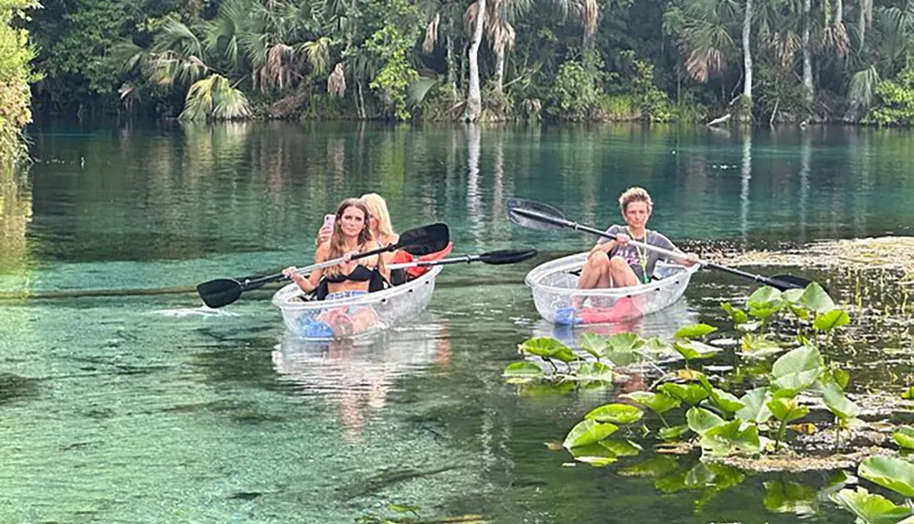 Two individuals are kayaking on a clear and calm river surrounded by lush greenery