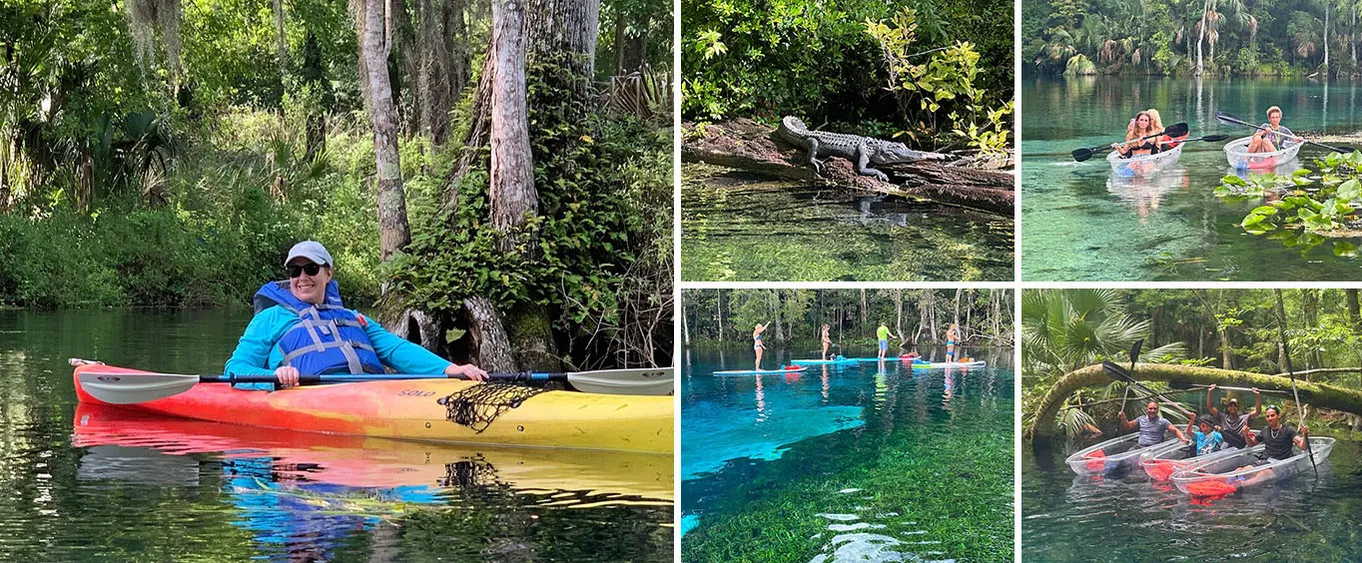 Gator Viewing Clear Kayak Springs Tour