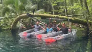 Four people are smiling and posing with their paddles in clear kayaks on a calm, transparent waterway amidst lush greenery.