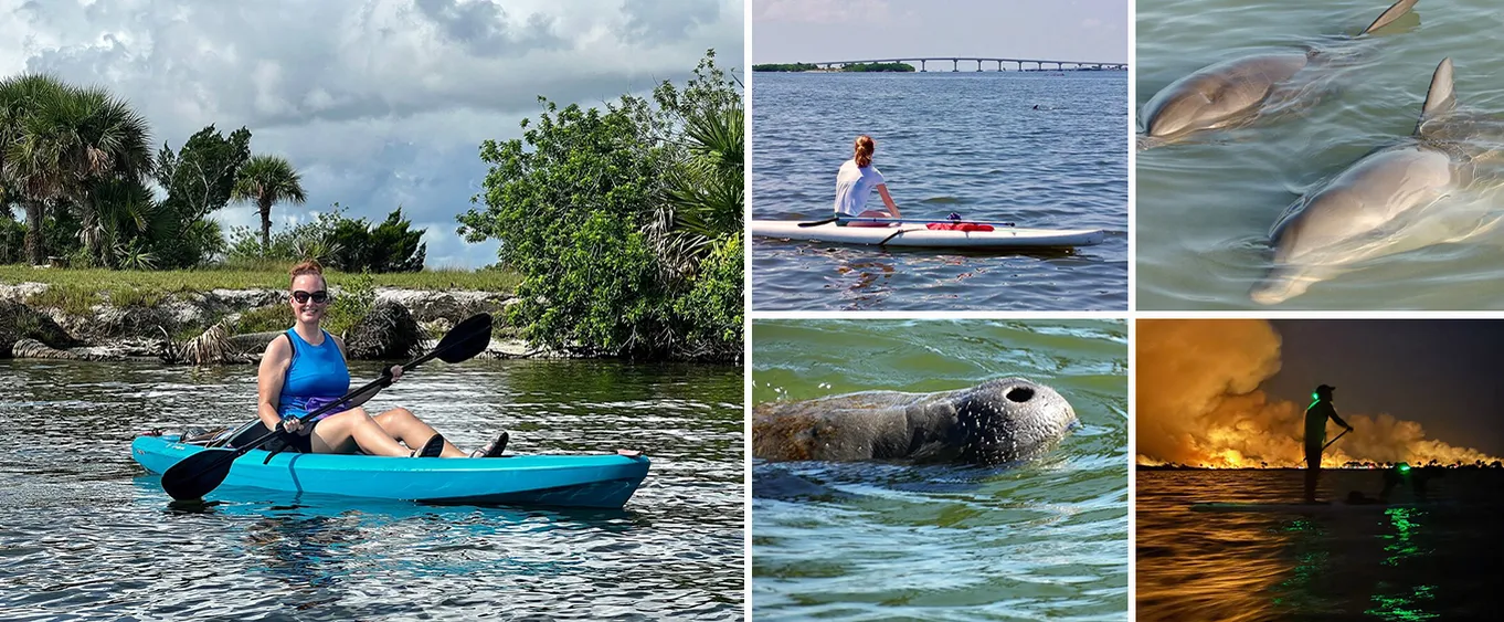 Dolphin and Manatee Clear Kayak or Paddleboard Island Hop Tour