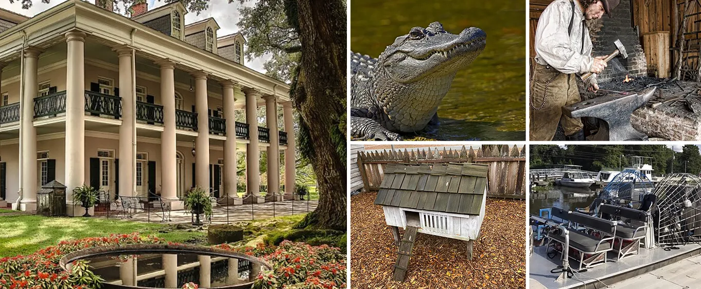 Full-Day Tour Oak Alley Plantation and Airboat Swamp from New Orleans