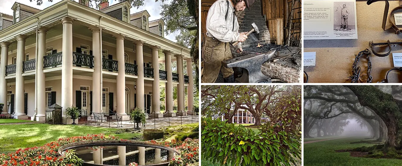 Explore Oak Alley Plantation Guided Tour with Transportation