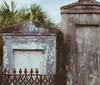 A group of people appear to be engaged in a guided tour in a historical cemetery