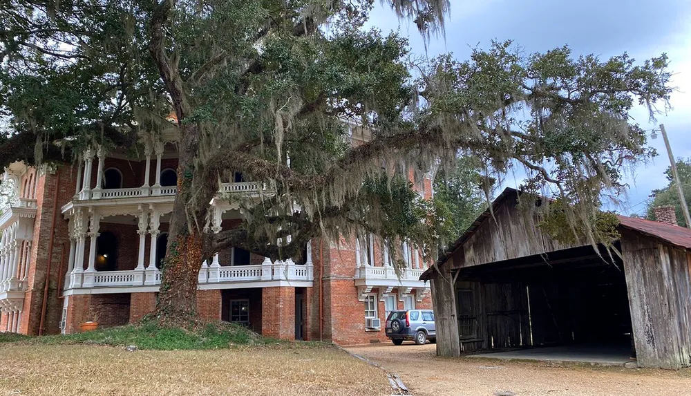 The image shows a grand brick mansion with elaborate white balconies shrouded by Spanish moss-draped trees adjacent to a rustic wooden shed