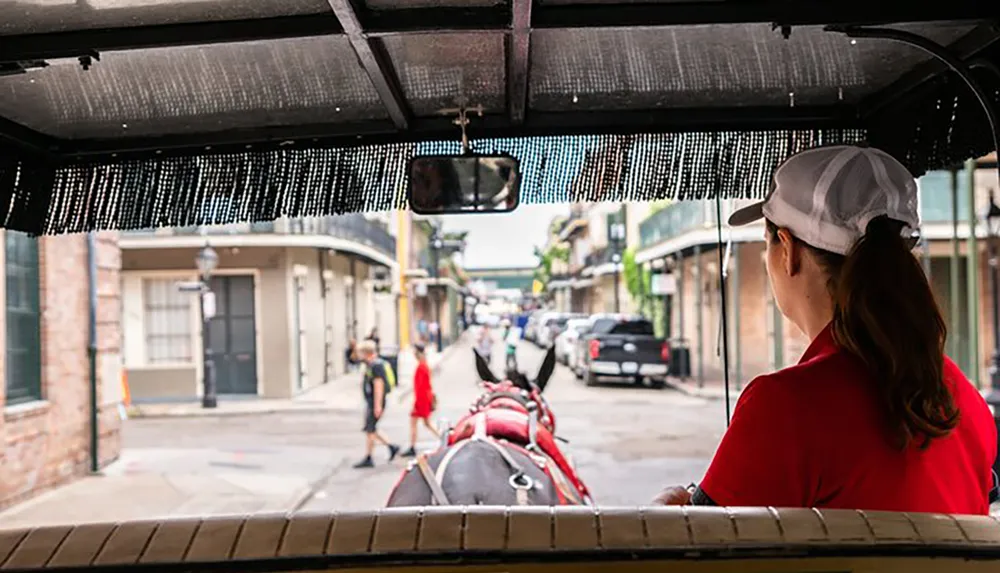 A carriage driver in a red shirt and white cap looks ahead as the horse pulls the carriage along a street lined with buildings and vehicles