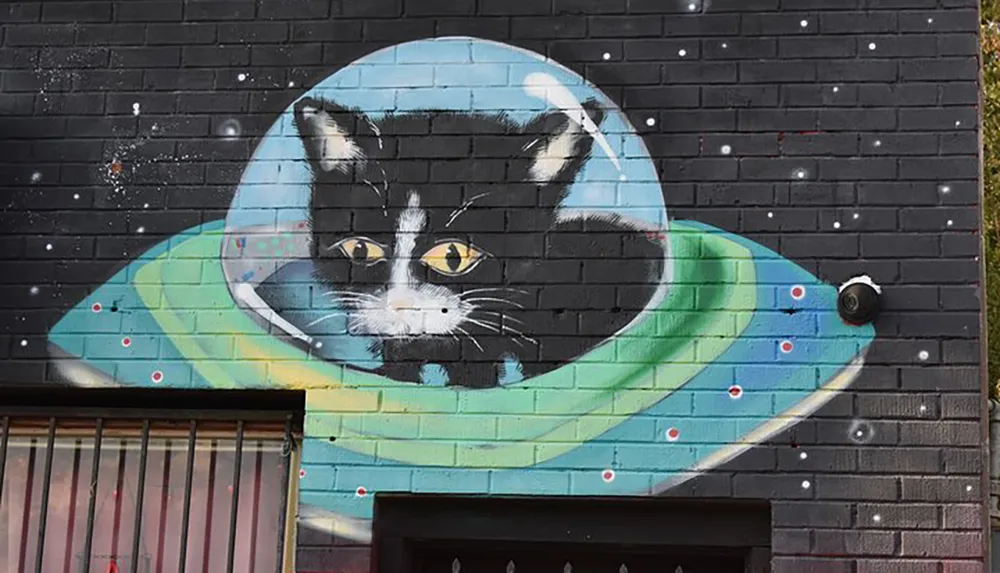 The image shows a wall mural of a black and white cat inside a cosmic-style circle against a dark brick wall