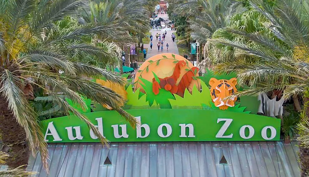 The image shows the colorful entrance sign of Audubon Zoo surrounded by palm trees with visitors walking in the background