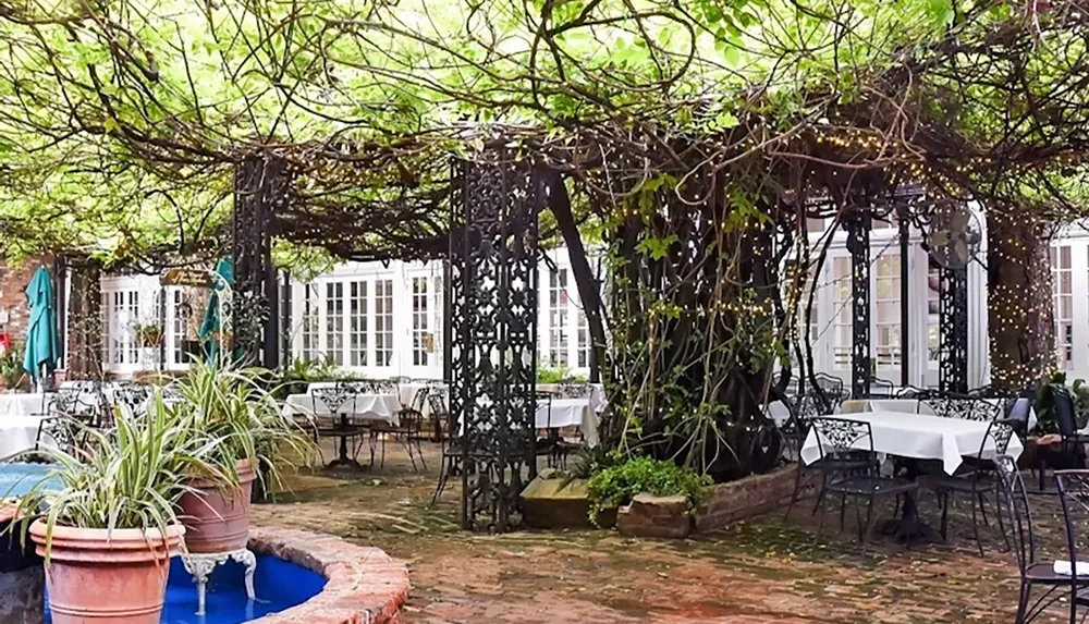 A charming outdoor courtyard features tables set with white tablecloths under a canopy of lush green vines and fairy lights next to a small blue fountain with potted plants