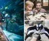 Children are excitedly observing fish in a large aquarium tunnel with a smaller inset image of a parent and child looking at insects