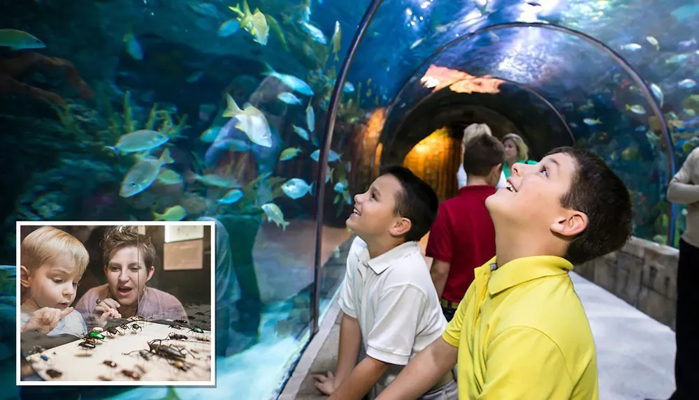 Children are excitedly observing fish in a large aquarium tunnel with a smaller inset image of a parent and child looking at insects