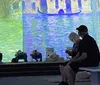 Several people are observing an immersive Monet art experience with colorful abstract projections in the background