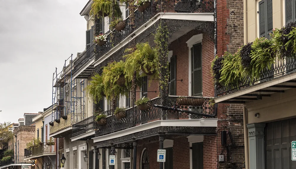 The image shows a row of historic buildings with ornate wrought-iron balconies adorned with lush greenery and hanging plants