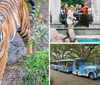 A close-up of a leopard with its mouth open is shown in a zoo setting with an inset of people watching a sea lion performance