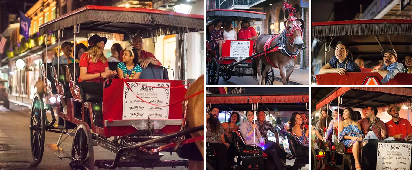 French Quarter Ghost Tour by Mule Drawn Carriage