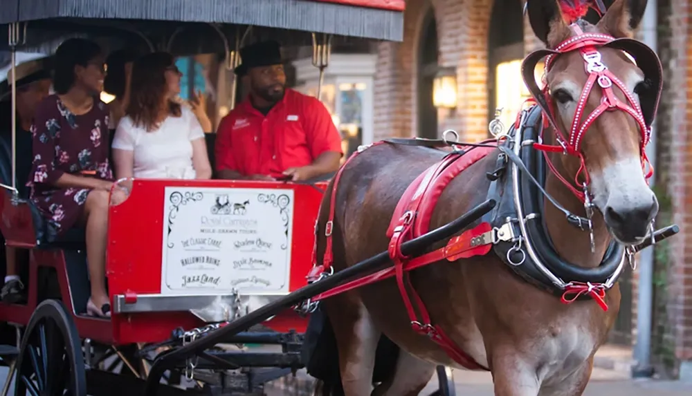 A horse-drawn carriage with several passengers is being led through a city street guided by a person in a red shirt