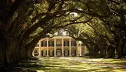 The image showcases a stately mansion at the end of an alley lined with majestic oak trees, draped in Spanish moss, creating a picturesque southern scene.