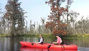 Two people are kayaking in a calm waterway surrounded by dense vegetation and Spanish moss-draped trees, indicative of a swampy or wetland area.