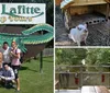 A group of people is posing with smiles in front of the Jean Lafitte Swamp Tours sign featuring a large cartoon alligator