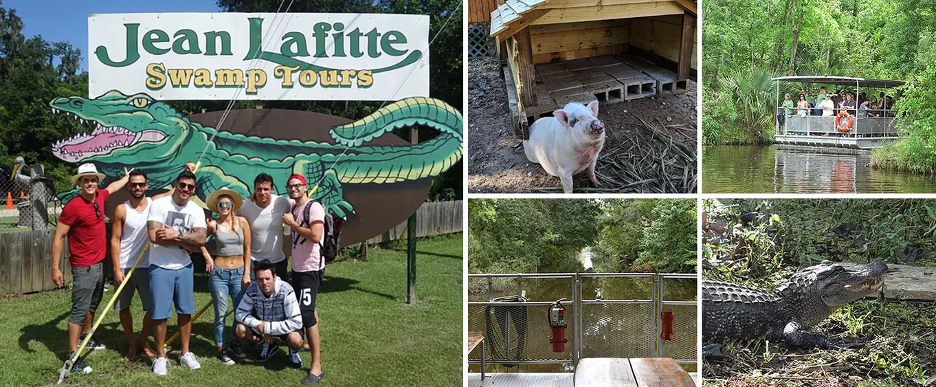 90-Minute Jean Lafitte Swamp and Bayou Tour with Transportation