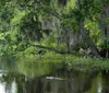 A group of people is posing with smiles in front of the Jean Lafitte Swamp Tours sign featuring a large cartoon alligator