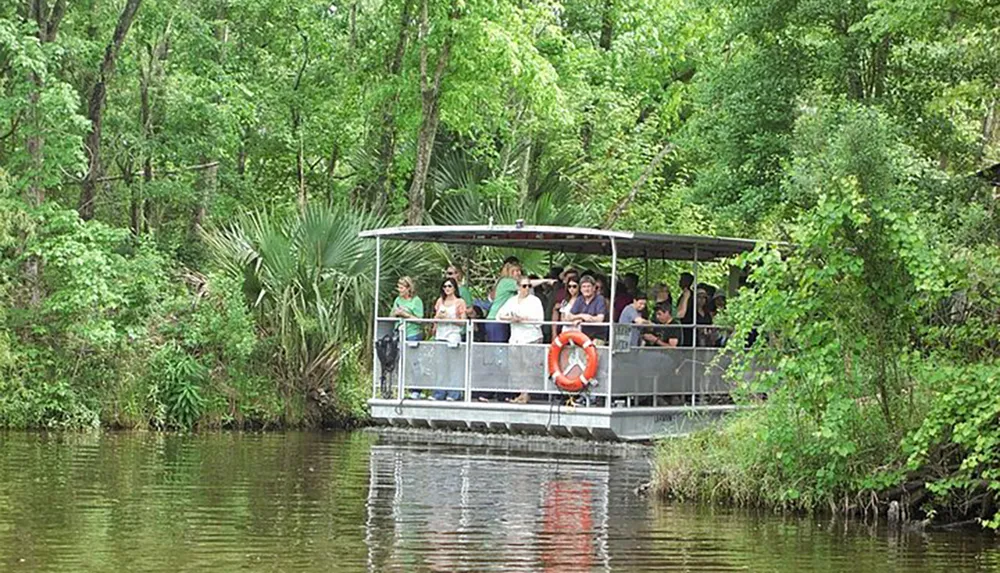 A group of people is enjoying a boat tour through a lush green waterway