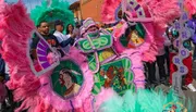 Participants in vibrant and elaborate pink and purple feathered costumes celebrate at a festive outdoor event, likely a Mardi Gras parade.