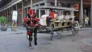 A horse adorned with red festive decorations pulls a carriage with passengers through a historic street setting.