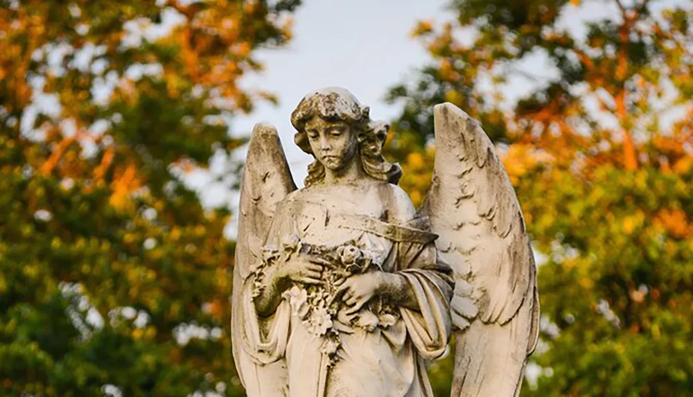 The image shows a weathered stone sculpture of an angel with detailed wings and a serene expression holding flowers set against a backdrop of autumn leaves