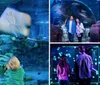 A child in a yellow shirt is watching a stingray swim by in an aquarium