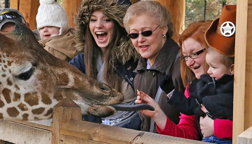 A group of people including a child and a smiling woman are happily feeding and interacting with a giraffe at a zoo