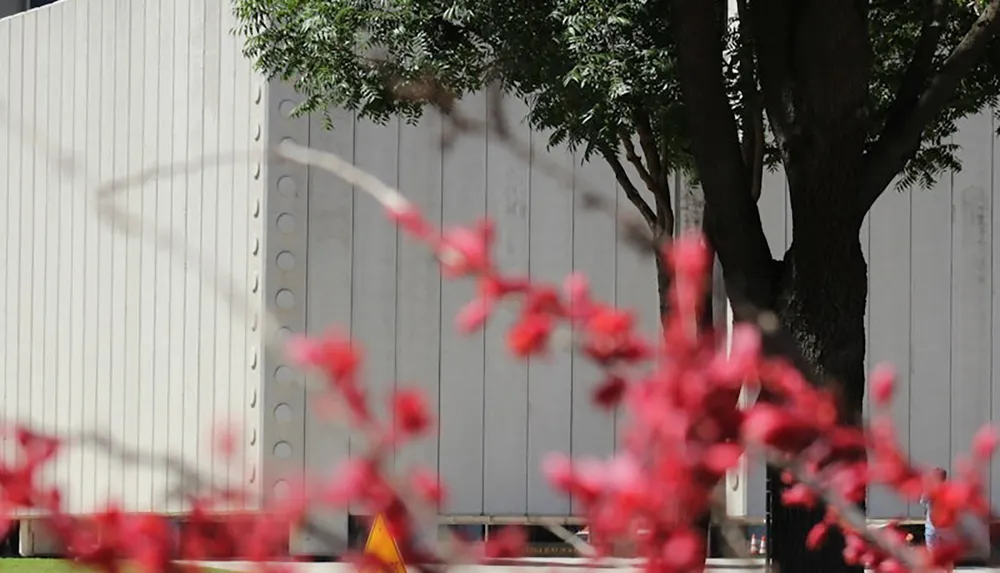 The image shows a blurred view of red foliage in the foreground with a clear view of a tree trunk and a patterned concrete wall in the background