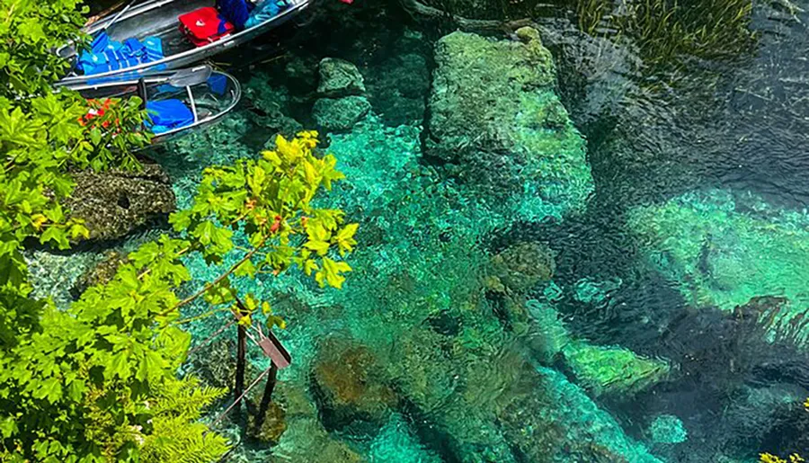 The image shows a clear and serene body of water, with a kayak floating above and vibrant plant life visible both under the water and at the water's edge.