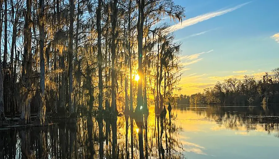 The image captures a serene sunset with the sun peeking through Spanish moss-draped trees and reflecting on the calm waters of a swamp.