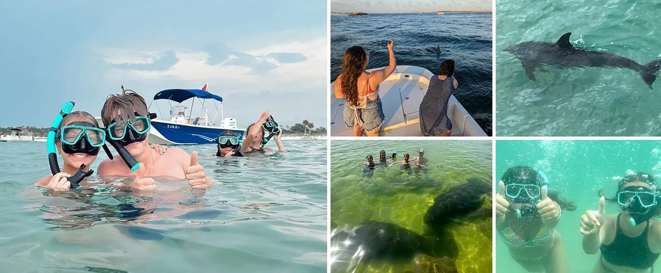 Snorkeling, Dolphin and Wildlife Sightings at St. Andrews Bay