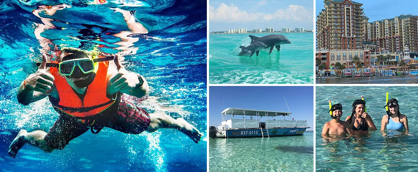 Flippers Adventures 2 Stop Snorkeling and Dolphin Cruise