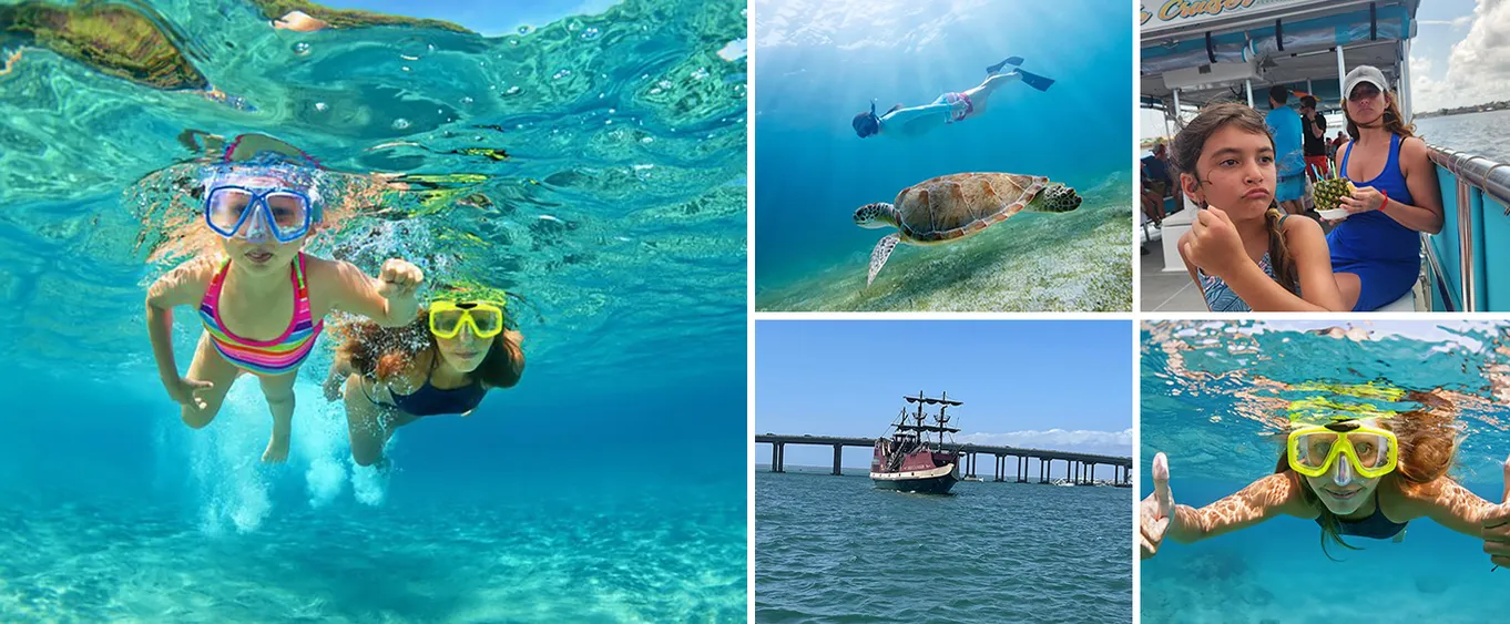 Snorkeling and Dolphin Watching Experience in Destin