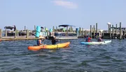 Several people are kayaking near a dock with boats on a sunny day.