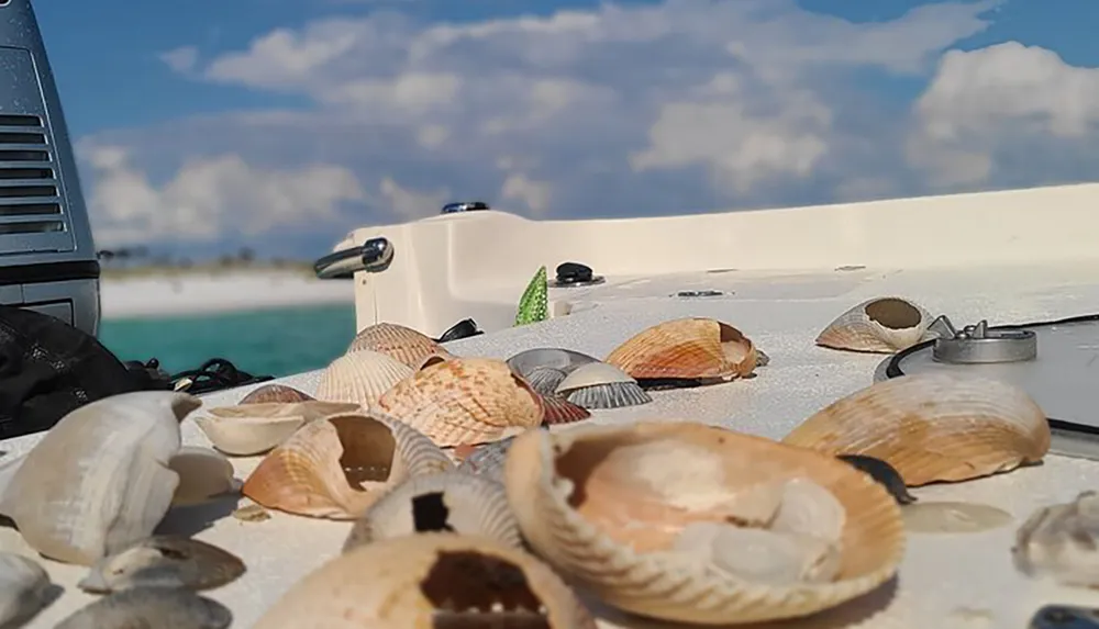 A collection of seashells is scattered on the deck of a boat with a clear turquoise sea and a sandy beach in the background