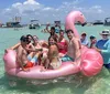 A group of people is joyfully posing for a selfie on a boat while another crowd in the water behind them is also partaking in the photo all set against a backdrop of a sunny busy waterway filled with boats