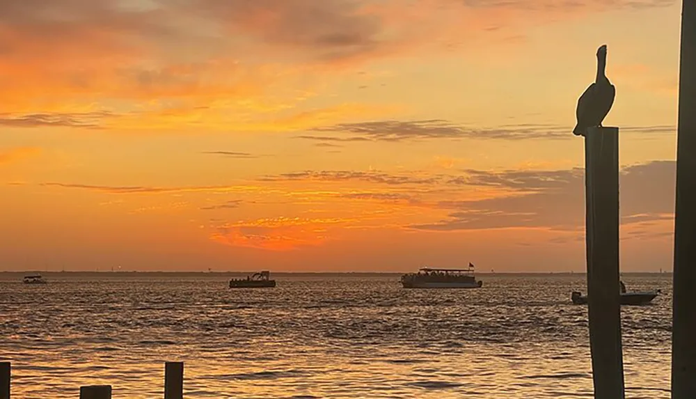 A pelican perches on a post overlooking a waterway with boats against a vibrant sunset sky