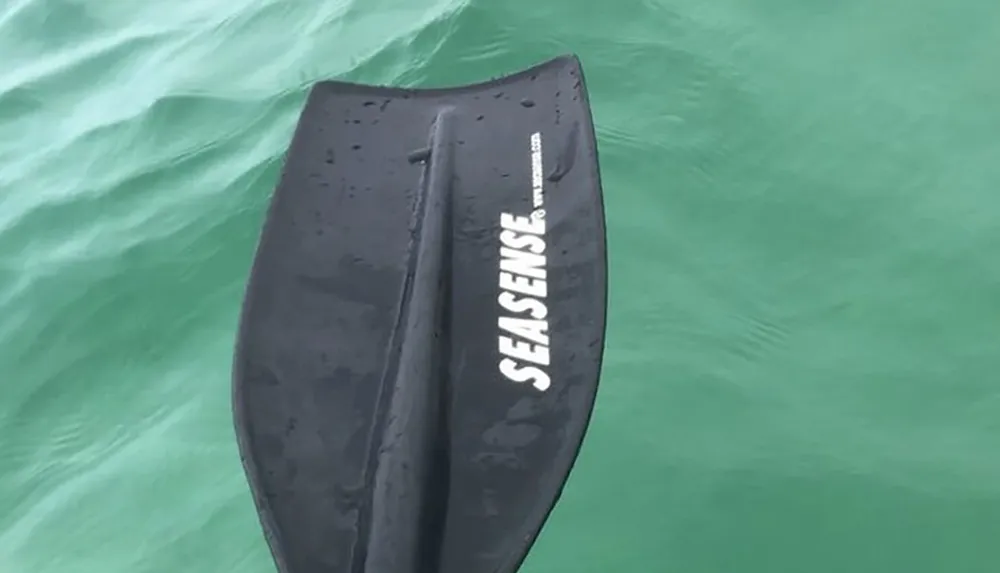 The image shows a black motorboat outboard lower unit and propeller partially submerged in greenish water with the SEASENSE brand visible on the side